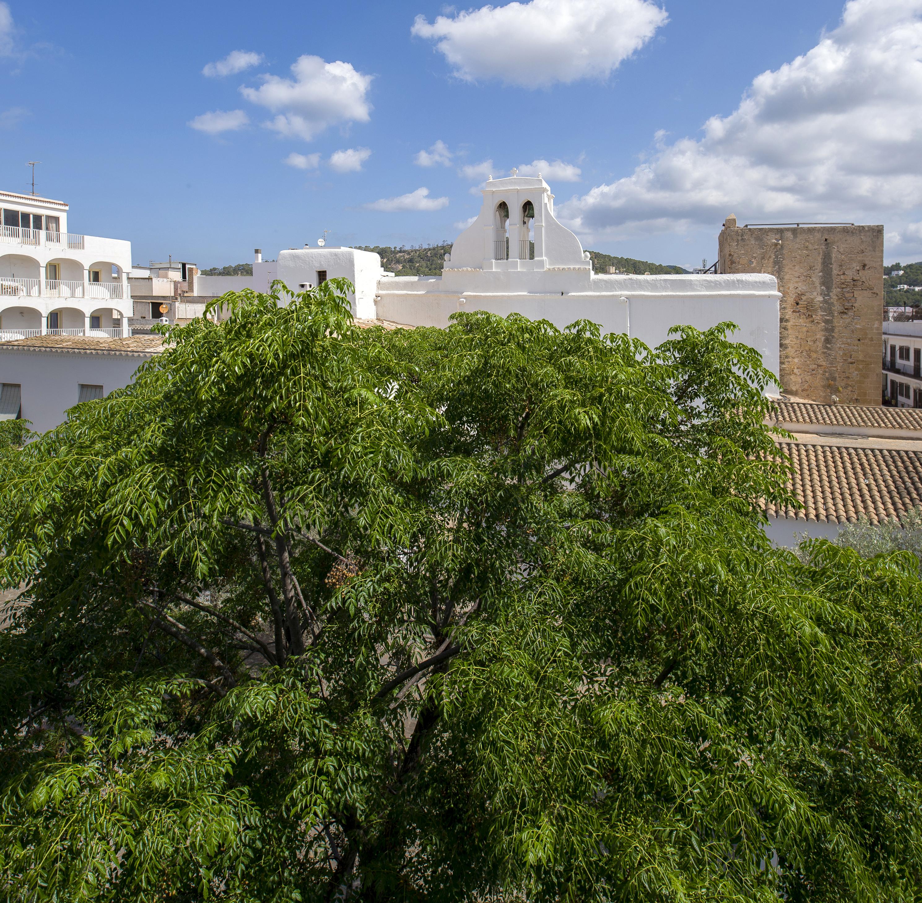 Apartamentos Tramuntana Sant Antoni de Portmany Exterior foto